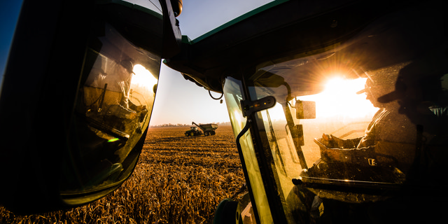 Growing Green with Farmers